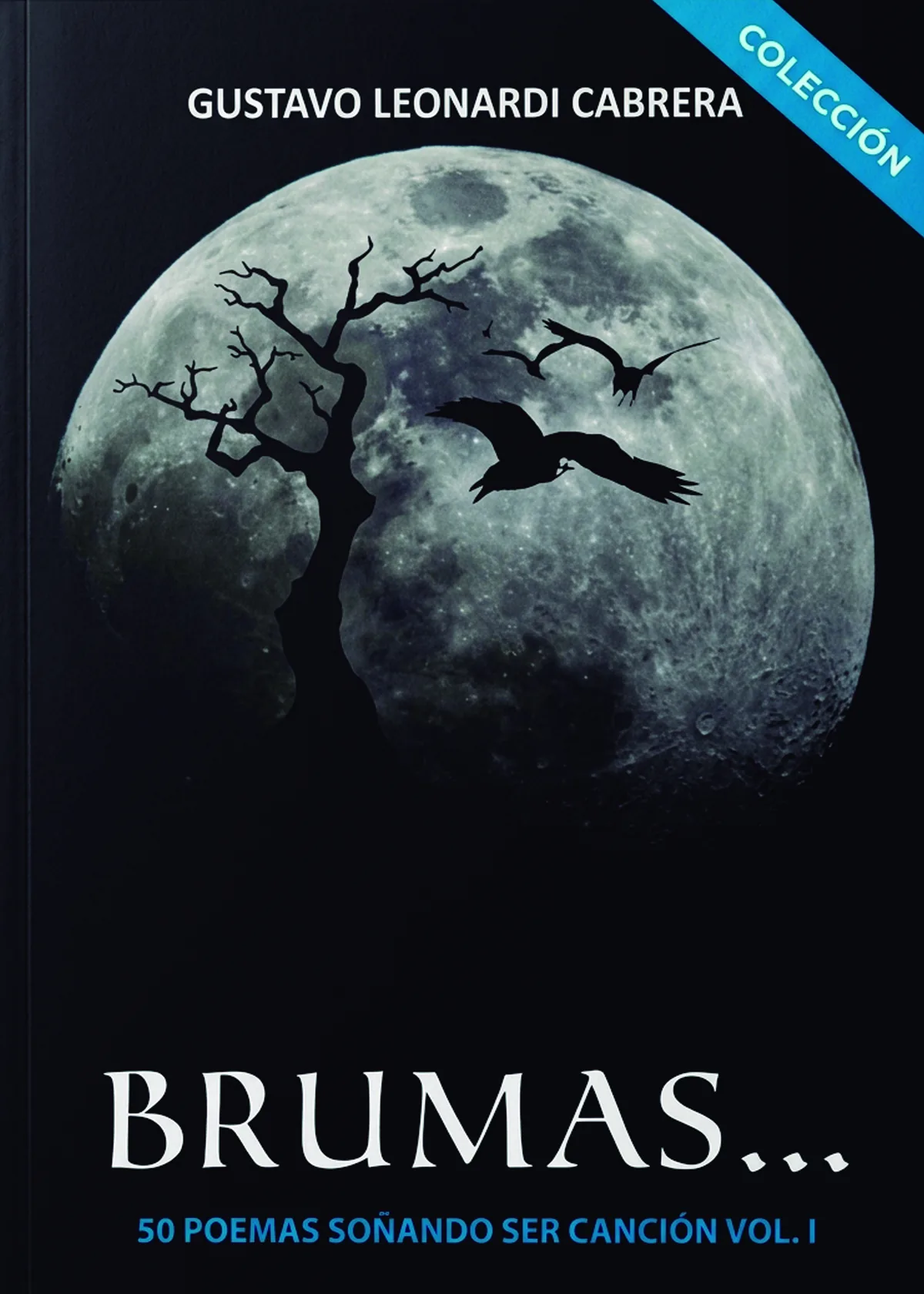 Portada de Brumas… de un pasado salvaje